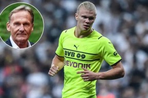 AYX-莱万多夫斯基新星出色发挥表现突出，TL前途光明！